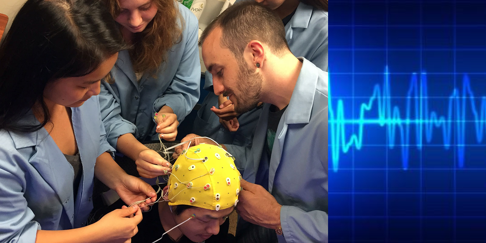 Bard Summer Research Institute 2019 – Memory Dynamics Lab